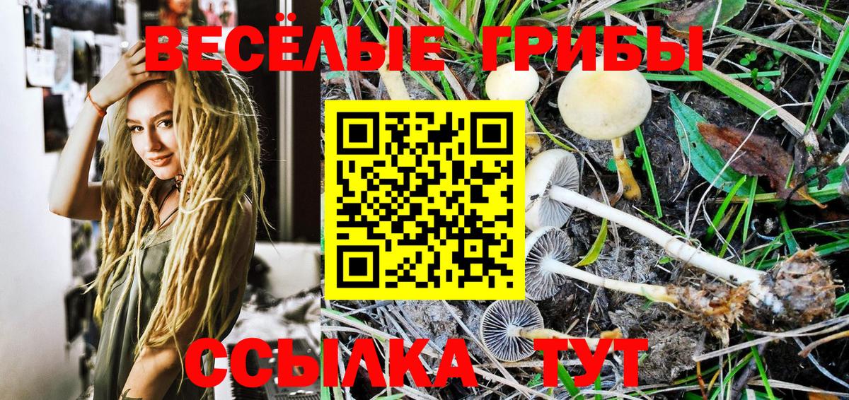 Псилоцибиновые грибы Psilocybine cubensis  Галлюциногенные грибы Magic Shrooms  Псков  Вход с VPN 